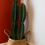 Apartamento La Casa, Mexicaine D'exception A