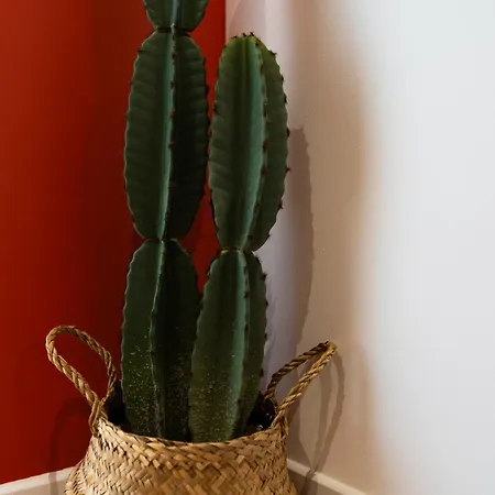 Apartament La Casa, Mexicaine D'exception A