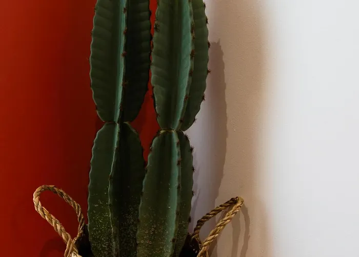 Appartamento La Casa, Mexicaine D'exception à